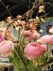 -妈咪爱月子中心·母婴护理