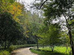 -西湖风景区-江洋畈生态公园
