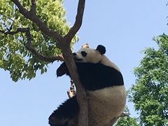 -上海野生动物园