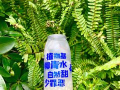 -蔻蔻椰·鲜萃椰子水(COCO Park店)