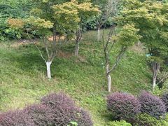 -洋湖国家湿地公园