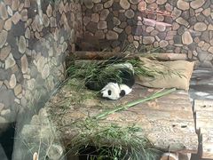 -济南野生动物世界