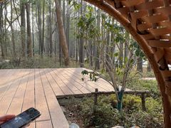 -东湖落雁景区