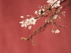iphone_upload_pic-浙江省杭州高级中学(贡院校区)