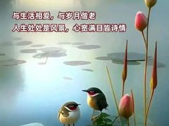 -新安人家·22年本地餐厅