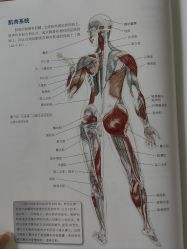 -AN普拉提女子健身工作室