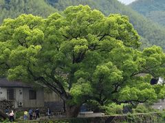 -鹿亭中村