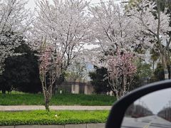 -徐霞客故居