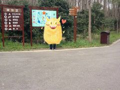 -东平国家森林公园