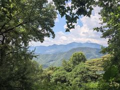 -广州市石门国家森林公园