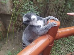 -北京野生动物园