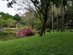-晓港公园