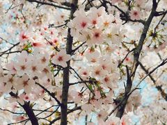 -白塘生态植物园