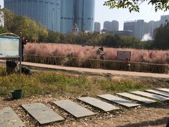 -艾溪湖湿地公园