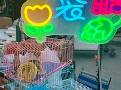 -中环花鸟鱼虫市场