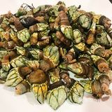 隐藏于村落里的私房菜