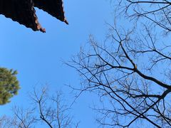 -敬亭山风景名胜区