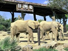 -上海野生动物园