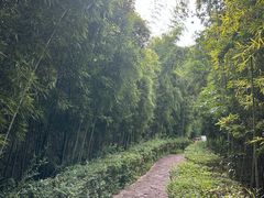 -天目湖涵田度假村