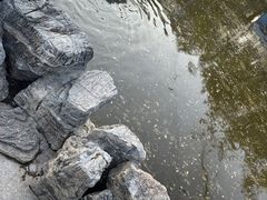 -森林公园(尖草坪区)