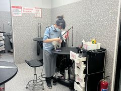 -宠物家(角门东店)