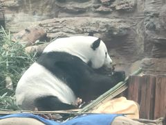 -石家庄市动物园