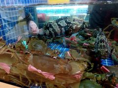 -花中城·杭帮菜·粤菜·海鲜火锅(清泰街店)