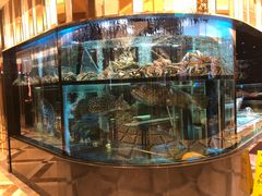 水产区-金翠皇宫粤菜·点心·海鲜(科技园店)