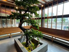 -松子料理(亮马桥店)