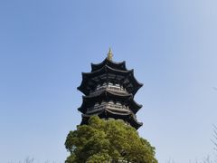-洋湖国家湿地公园