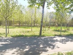 -秦皇岛野生动物园