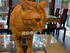 -台湾小竹(华宇广场店)