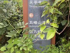 -灵岩山风景区