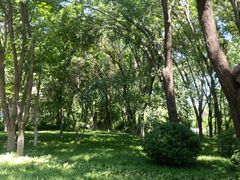 景点-济南森林公园