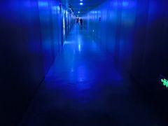 -白鹤梁水下博物馆