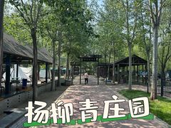 -杨柳青庄园