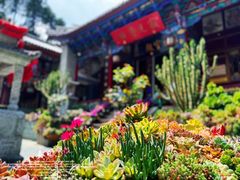-寂照庵