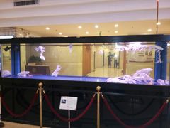 -陇菜和盛祥(金轮宾馆店)