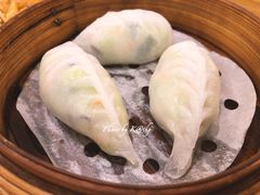 胜瓜云耳饺-广州酒家(花都店)
