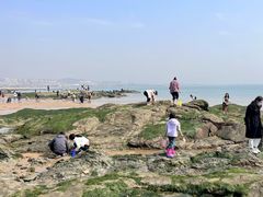 -巧克力渔家.小船海鲜胶东菜(万平口店)