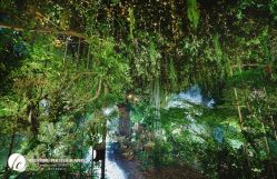 点击看大图 -花品行婚礼宴会设计(张家港店)