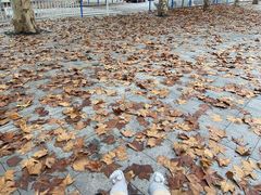 -龙头寺公园