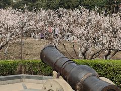 -元大都城垣遗址公园