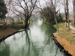 -西溪国家湿地公园