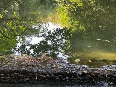 -成都市活水公园