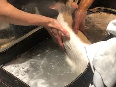 -御宝贝24h宠物医院·转诊中心·CT核磁血透中心(厦门总院)