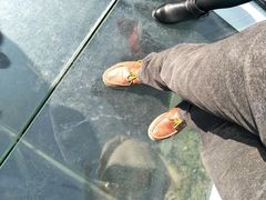 -梦幻奥陶纪景区