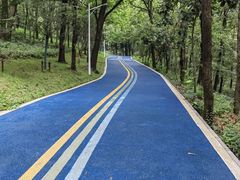 -南京金牛湖风景区