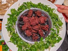 -全聚德烤鸭店(马家堡店)