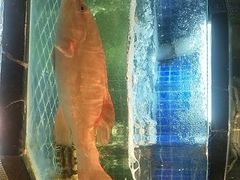 -小厨师·二十年沈家门小海鲜(百井坊巷店)